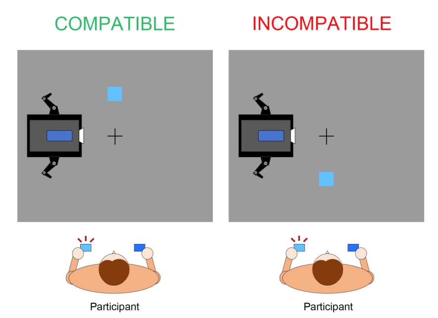 Robot Explainability Research